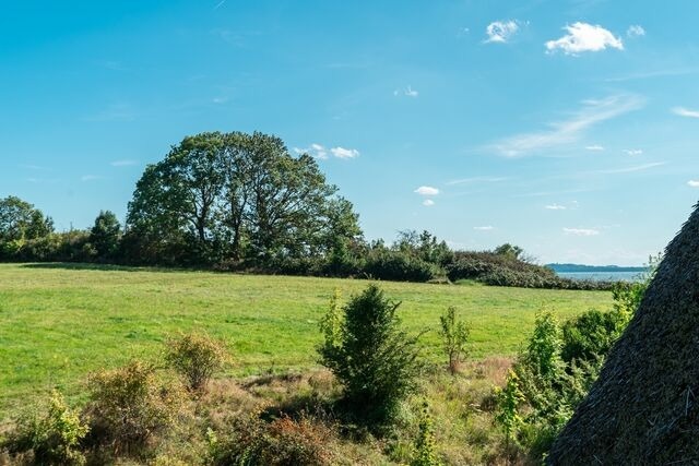 Ferienwohnung in Lobbe - Strandhaus Lobbe, Mohnblume Nr. 20 - Bade- & Saunawelt t&auml;glich inklusive - Bild 19