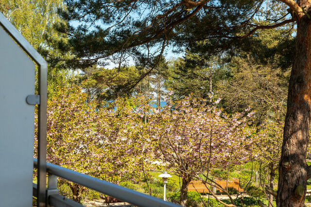 Ferienwohnung in Baabe - Ferienwohnung 15 "Jasmund" - Bild 16