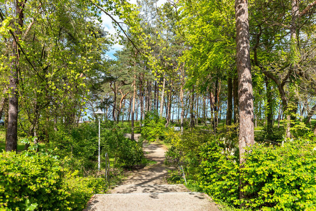 Ferienwohnung in Baabe - Ferienwohnung 15 "Jasmund" - Bild 19