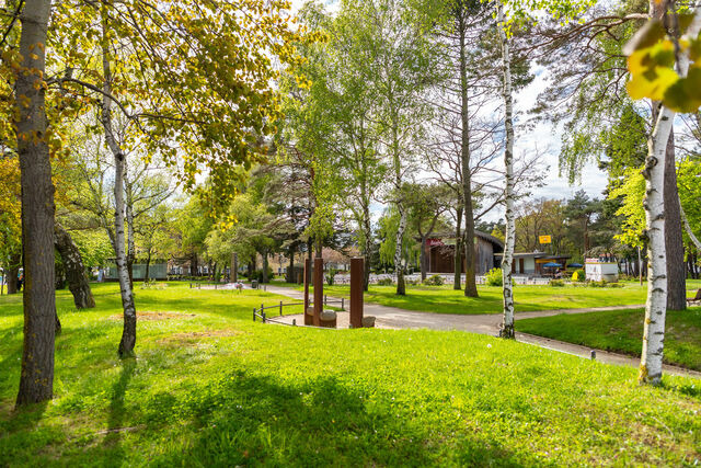 Ferienwohnung in Baabe - Ferienwohnung 15 "Jasmund" - Bild 22