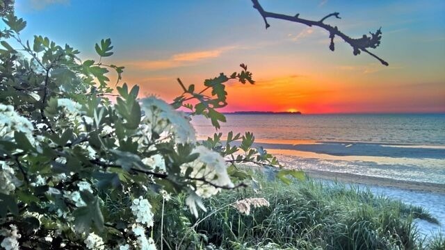 Ferienhaus in Zierow - Reethaus "De Likedeeler" - Bild 25