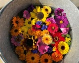 Ferienwohnung in Mariendorf - Naturidyll Mariendorf - Ferienwohnung Schafberg - Bild 13