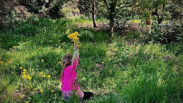 Ferienwohnung in Mariendorf - Naturidyll Mariendorf - Ferienwohnung Schafberg - Bild 14