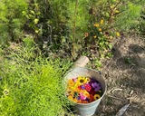 Ferienwohnung in Mariendorf - Naturidyll Mariendorf - Ferienwohnung Schafberg - Bild 18