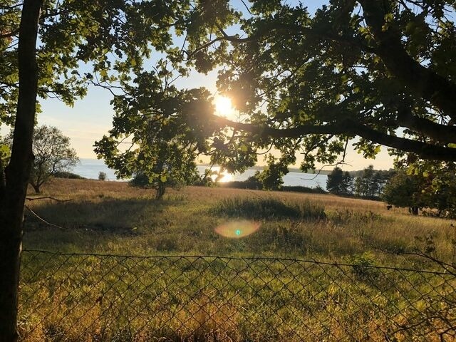 Ferienwohnung in Mariendorf - Naturidyll Mariendorf - Ferienwohnung Schafberg - Bild 22