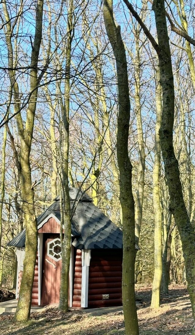 Ferienwohnung in Mariendorf - Naturidyll Mariendorf - Ferienwohnung Schafberg - Bild 24