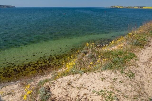 Ferienwohnung in Mariendorf - Naturidyll Mariendorf - Ferienwohnung Schafberg - Bild 25