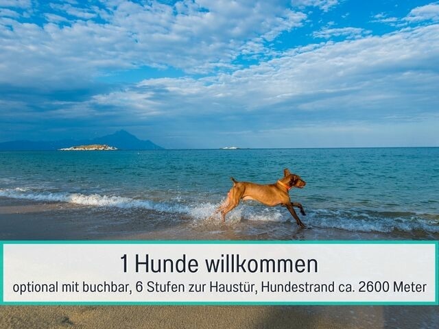 Ferienwohnung in Zinnowitz - Usedom Apartmenthaus Fewo 1 - Bild 14