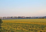 Ferienwohnung in Fehmarn OT Neue Tiefe - Meereslauschen - Bild 2