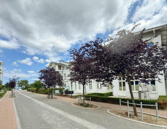Ferienwohnung in Ahlbeck - (Brise) Villa Erika App. 3 - Bild 2